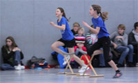 Km Minis Km Minis