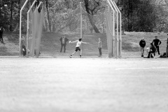 IMG_6539