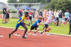 IMG_2992